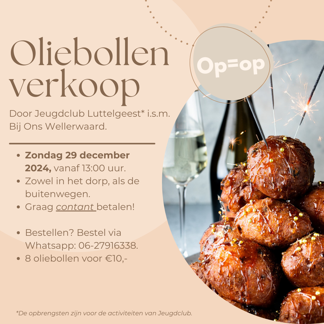 Oliebol01