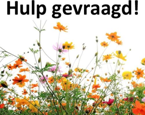 Hulp gevraagd bij dorpsplantdag bijenbosjes op vrijdagmiddag 1 december – nieuwbouw Luttelgeest